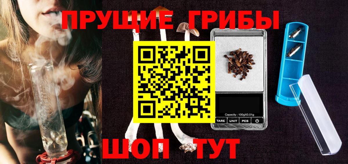 Псилоцибиновые грибы Psilocybe Кандалакша