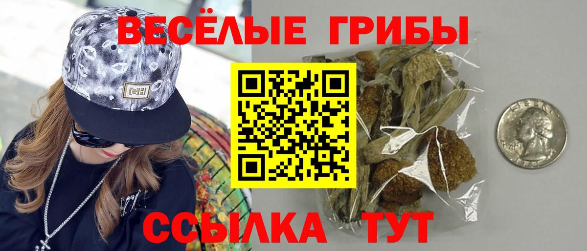 Галлюциногенные грибы Psilocybine cubensis  Вход с VPN  Кандалакша 